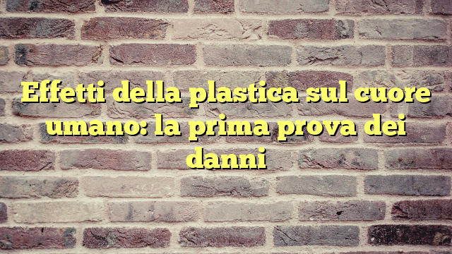 Effetti della plastica sul cuore umano: la prima prova dei danni