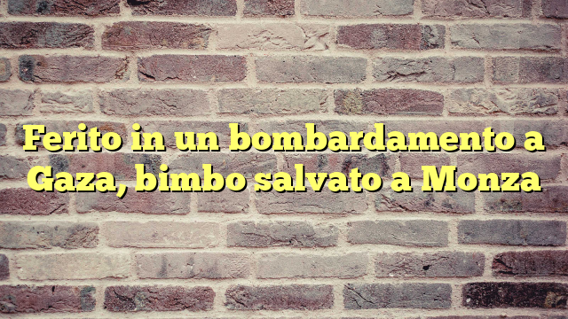 Ferito in un bombardamento a Gaza, bimbo salvato a Monza